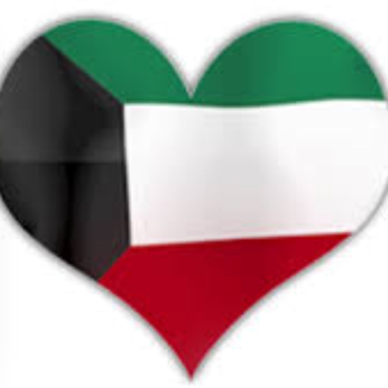 متقاعد.        مدقق جمركي