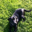 rickvdwoude's profile picture. 