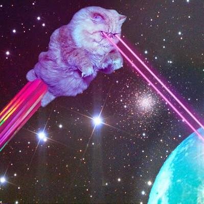 ynwamwk's profile picture. WI sports only exist to disappoint. Y2k was real & this is hell for us all. The only hope for earth is mass extinction of humanity. Fire budenholzer.