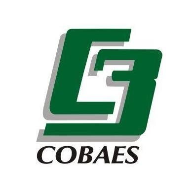 cobaes's profile picture. 