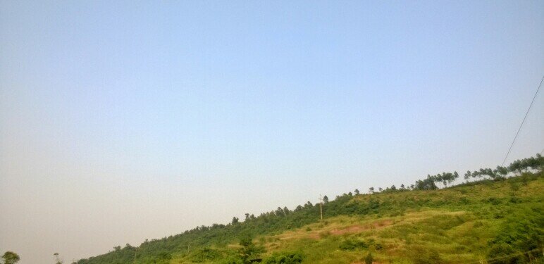 Kevinzealer's profile picture. goodnight