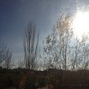 TOMMYGMT's profile picture. 