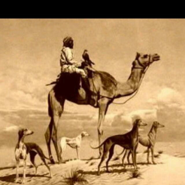 ‏سبحان الله والحمدلله ولااله الاالله والله اكبر /  تابعني اتابعك