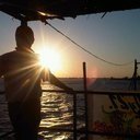 oswgue's profile picture. 