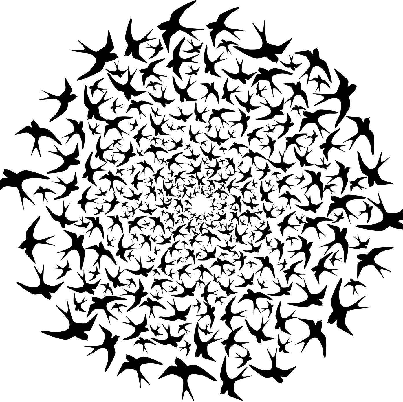 Designerssite's profile picture. 