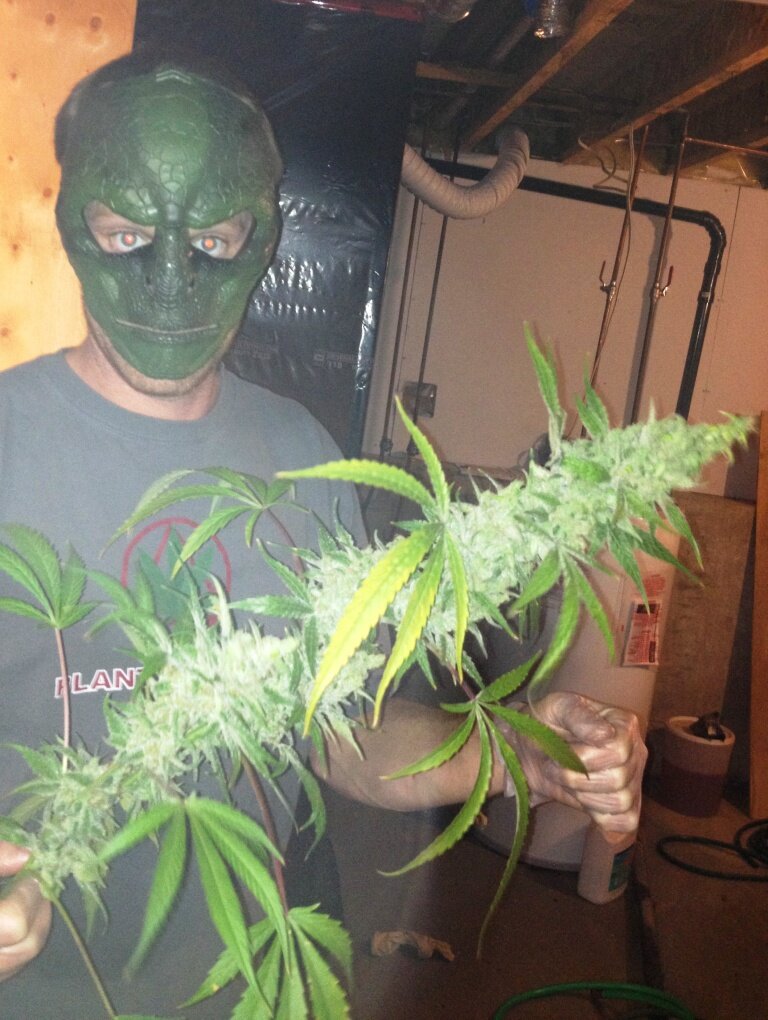 Med grower, hater of cancer and ignorant people...