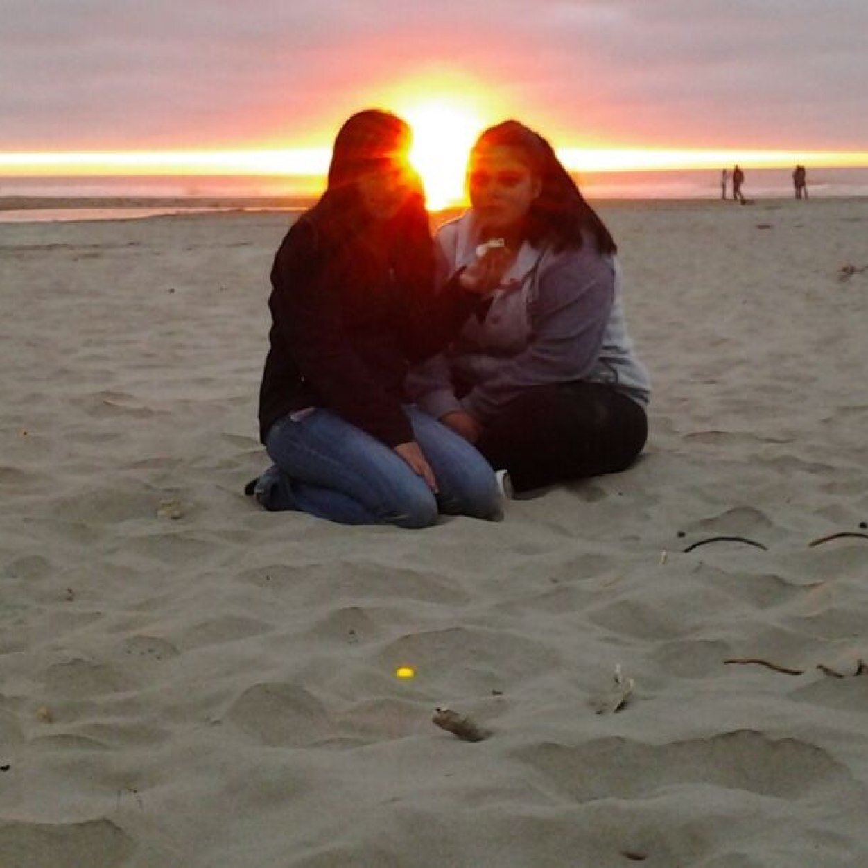 cinollo's profile picture. 