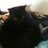 Twitter result for Buyagift from SusanJa72892586