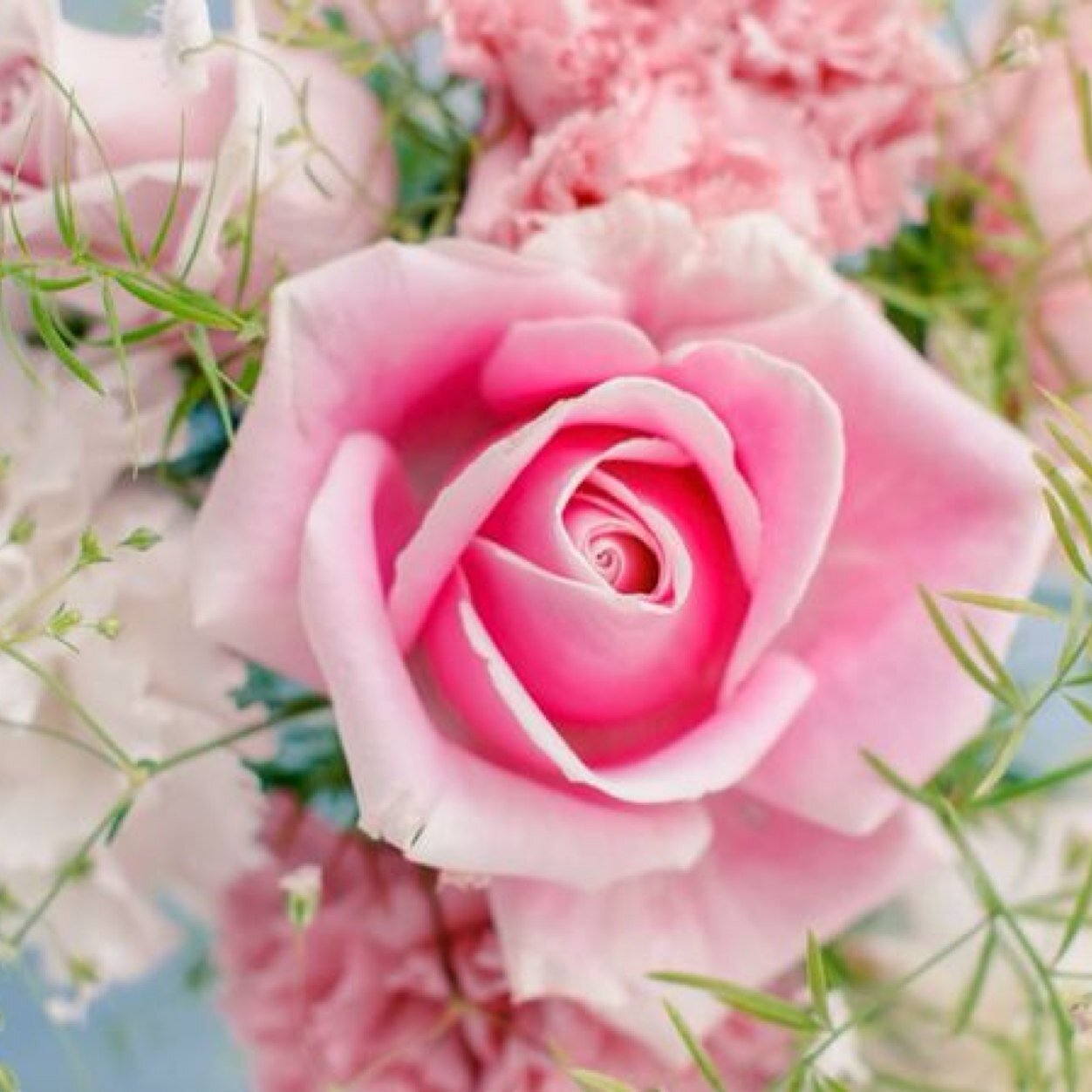 alm_ree's profile picture. In one day I'll achieve my dreams