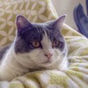 GoDanP's profile picture. Good things come to those who wait, but the best things come to those who do. #COYS