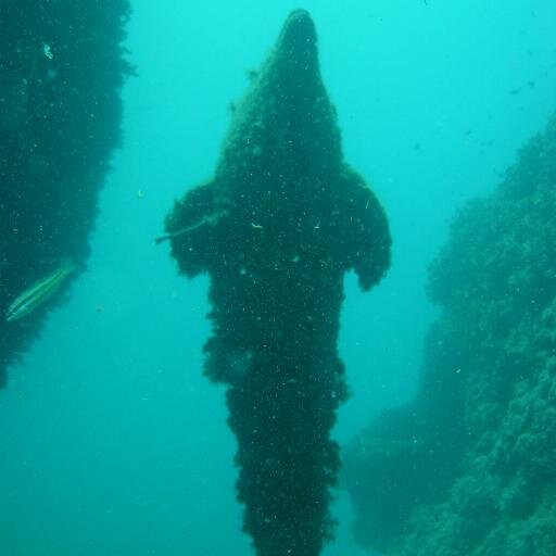 oceano76's profile picture. 