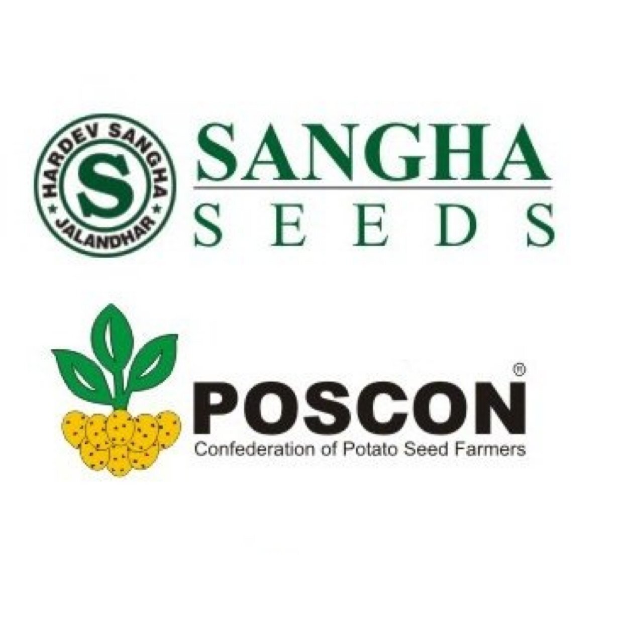 The largest producer of seed and table potatoes in Asia since 40 years.