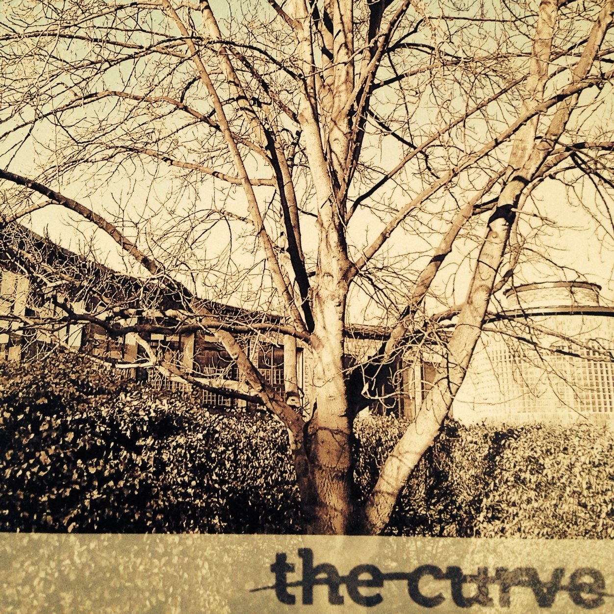 Welcome to The Curve's Twitter account!