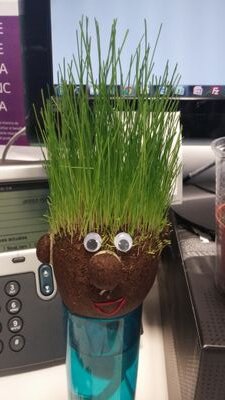 Javi_Two's profile picture. La gracia de la vida es reírse de uno mismo y de todo lo que se mueva