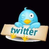 yazid (@yaziddecoplatre) 's Twitter Profile