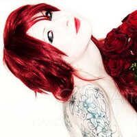 Daisy bell - @daisykatkat700 Twitter Profile Photo