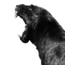 darren marsh - @MotorMarsh - Twitter