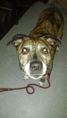 rrredbird77's profile picture. 