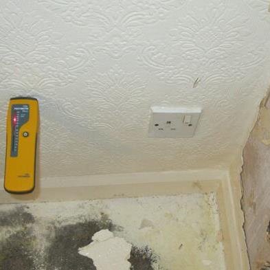 MouldInChelsea's profile picture. 