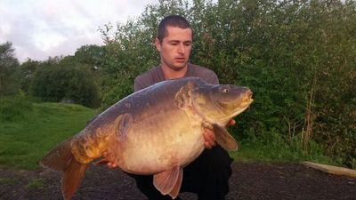 3c016b0411524d7's profile picture. 