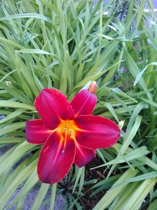 Sherrie1221's profile picture. 