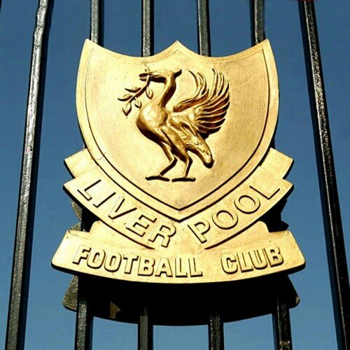 Follow Me I Follow Back.. This Is the Account  From @BillyLFC7