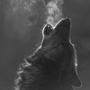 ben adair - @b_adair9 - Twitter