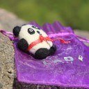 nikolyav's profile picture. Travelling, making photography, drinking beer and dancing