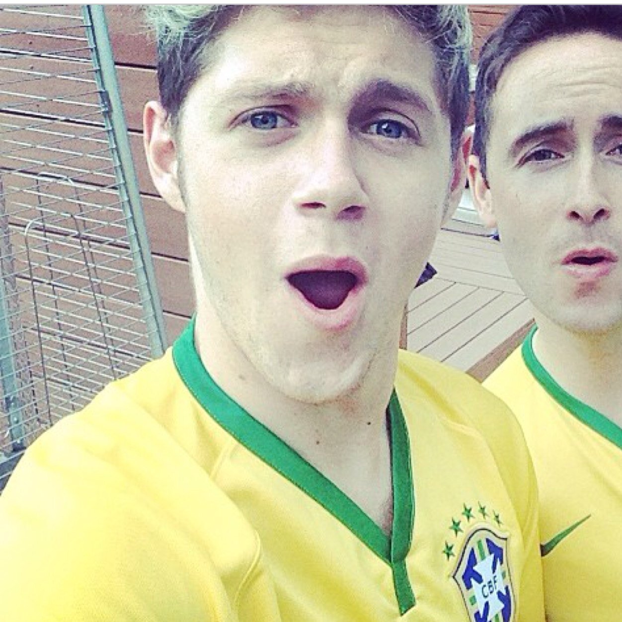1d sg tvd