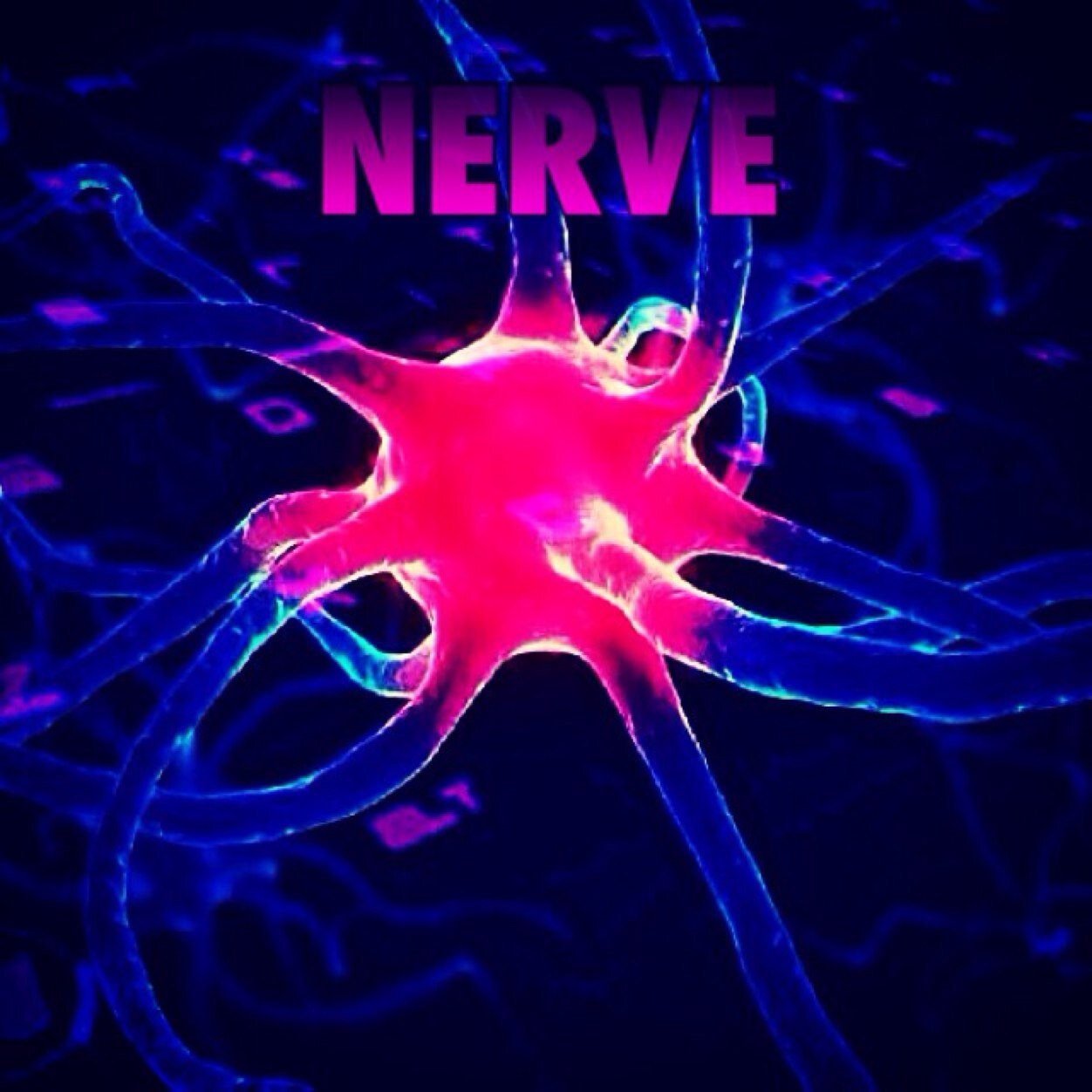 We are Nerve PC clan! We play mw3, bo2, and cs:go. Current team members are jcoko, swish, and onemorelevel