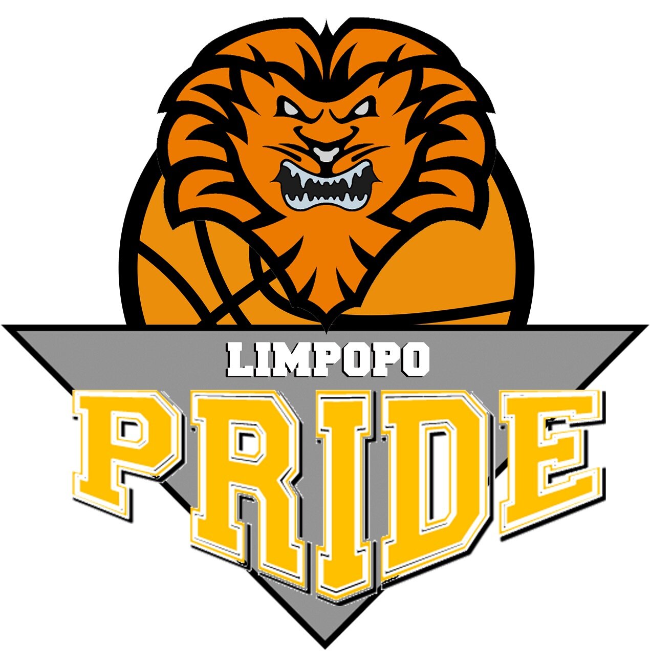 Professional Basketball Club of Limpopo Pride in the Basketball National League of South Africa (BNL).