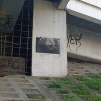 Tadas Meska (@tadasmeska) 's Twitter Profile