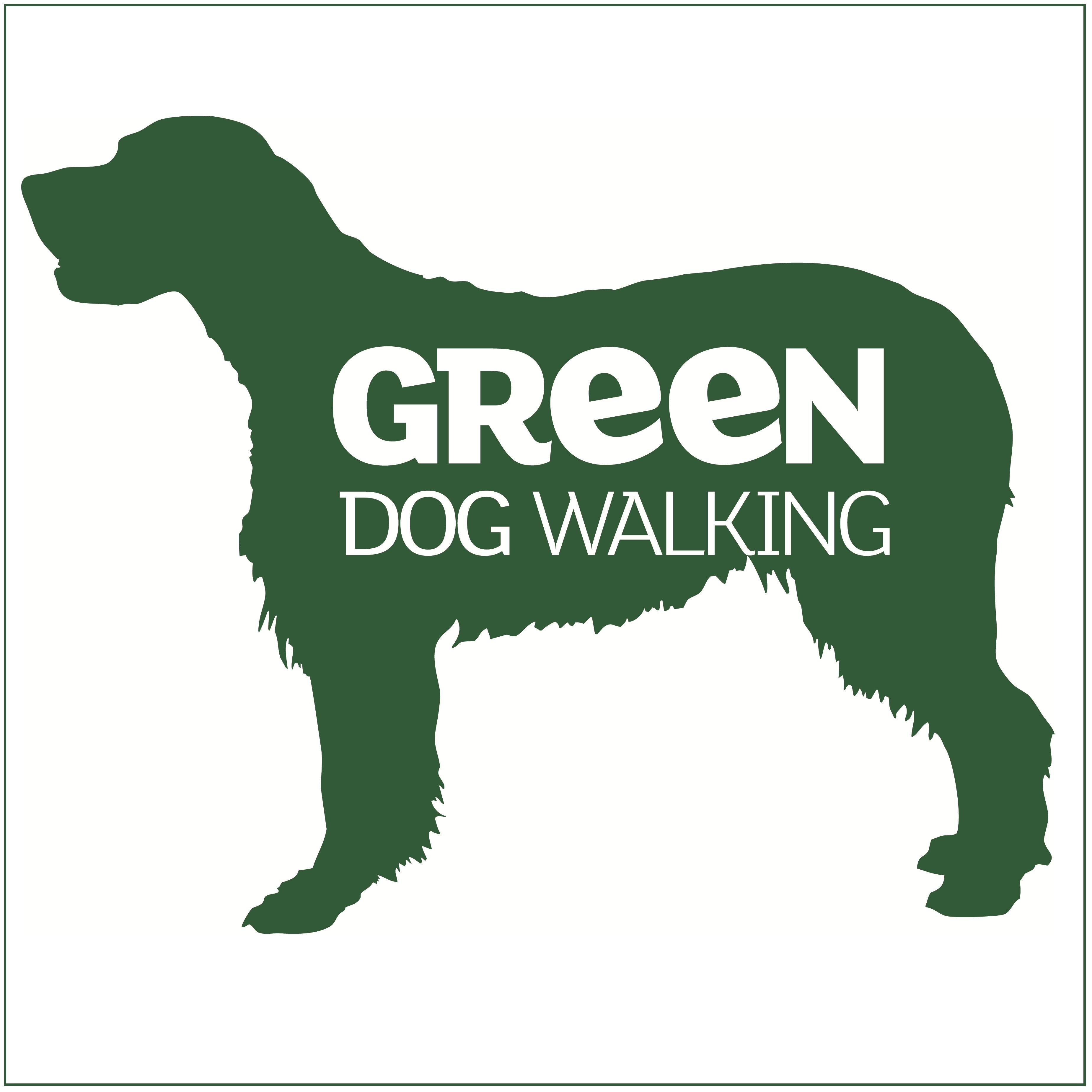 Грин дог. Собака грина. грин дог казань. green dog уфа.