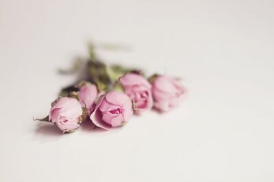 Sometimes feel bad but everytime I say there is reason for everything so I'm so simple & I wouldn't be hurt or hurt anyone