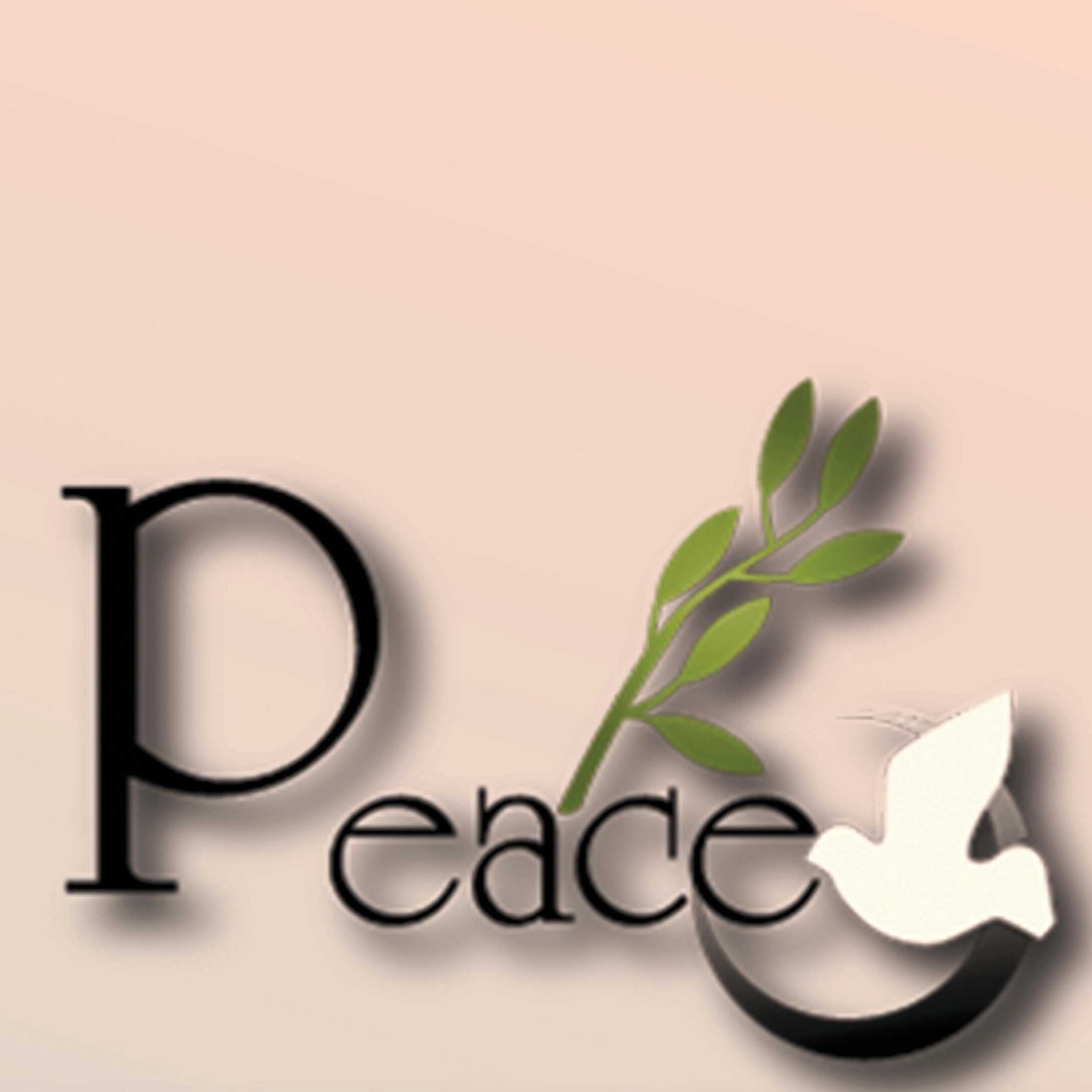 PEACE (The Palestinian Children Care) is a non-profit organization dedicated to bringing children from the Middle East to the U.S. for critical medical care.