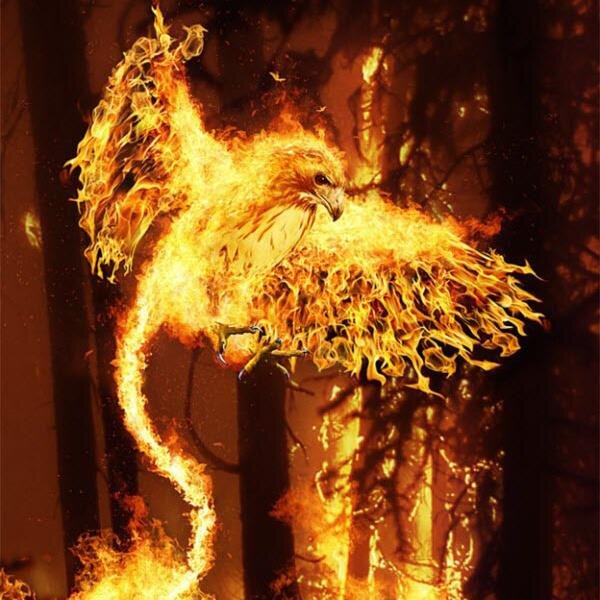 xxelt3bestxx's profile picture. 