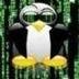 Independant Web Developer - PHP / Symfony - Hire me?