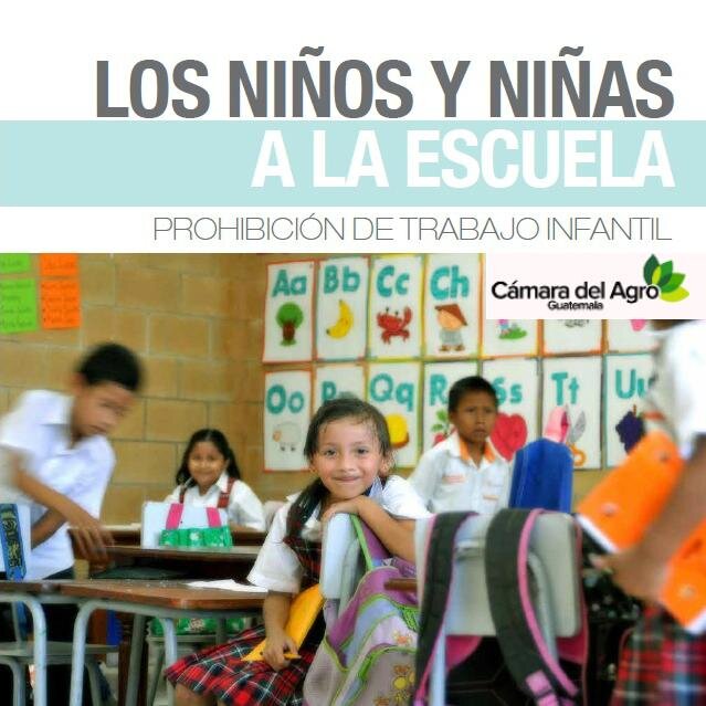 Red Empresarial para la Prevención y Erradicación del Trabajo Infantil en Guatemala.