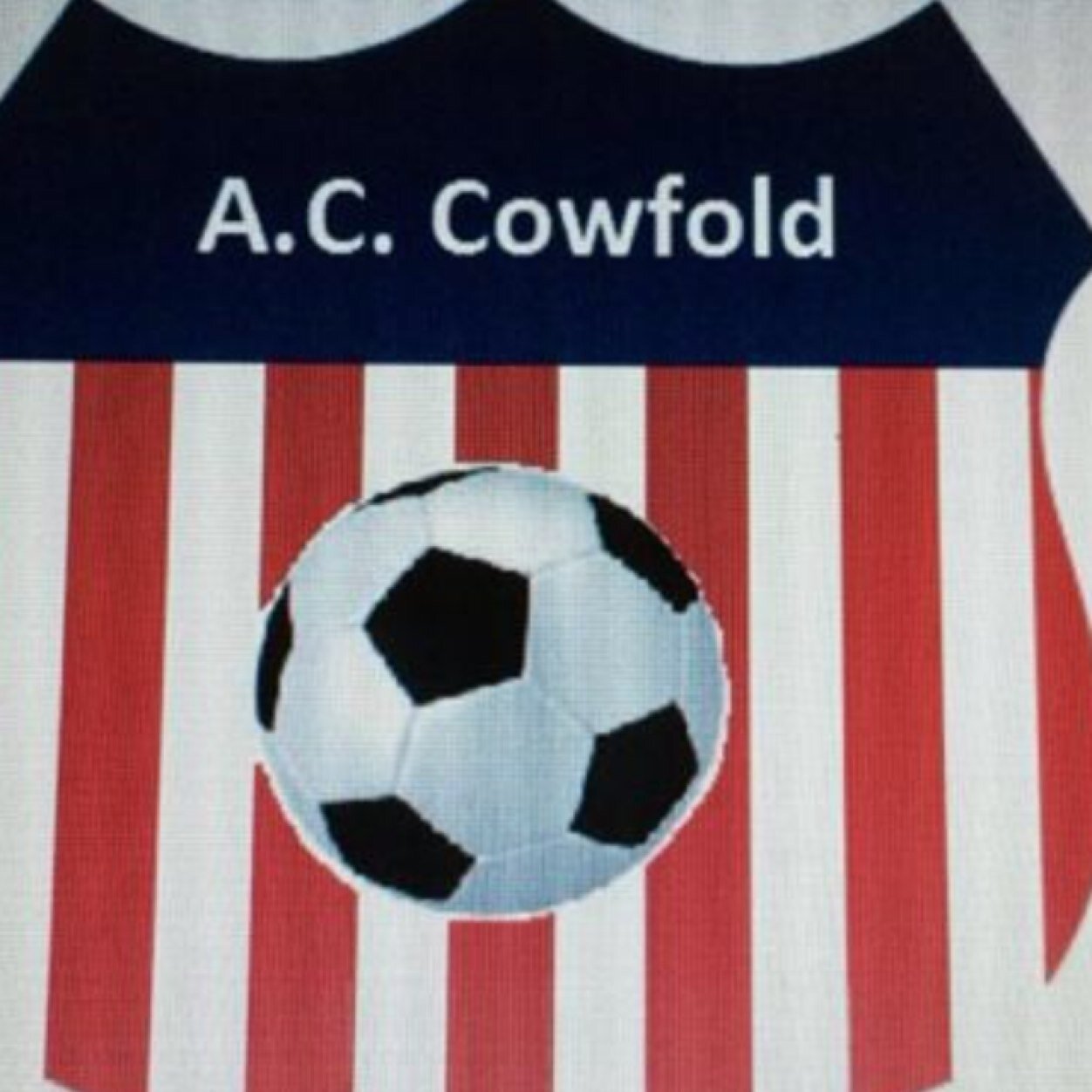ACowfold's profile picture. Horsham & Worthing Sunday League Div 4