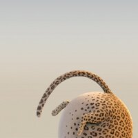 Lenny Tin (@lennytin) 's Twitter Profile