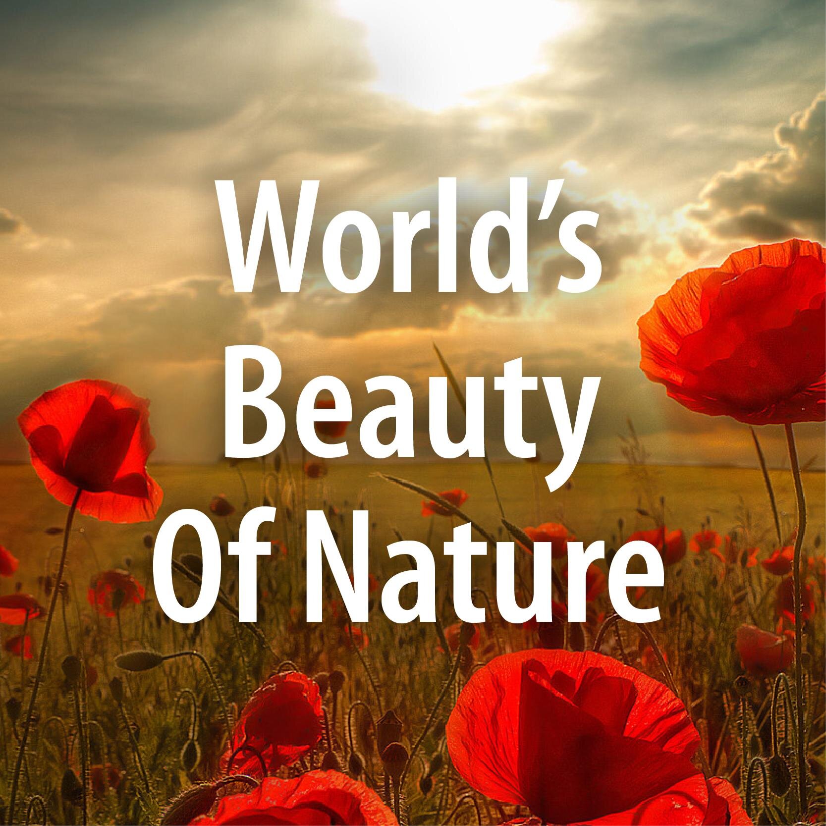 Find out about the most beautiful things that nature has to offer, by simply keeping up with our daily updates
