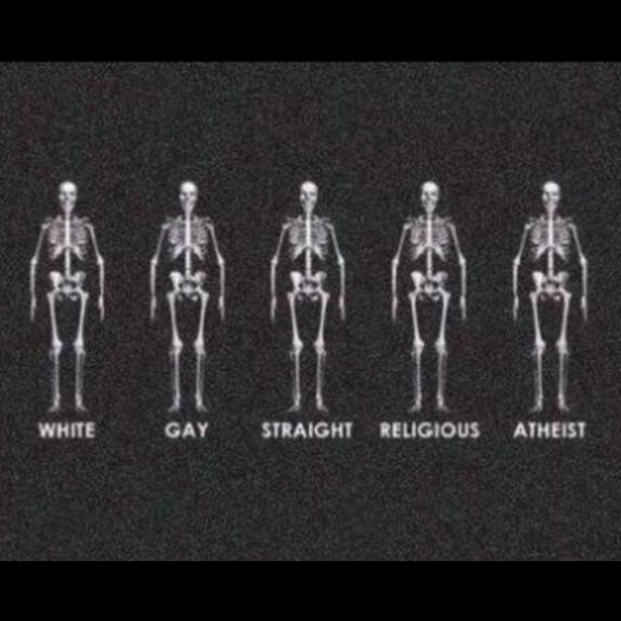 subtleone's profile picture. Non~believer of religion. Believer in kindness to all.