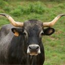 Angel Ahedo - @ahedo_a35 - Twitter