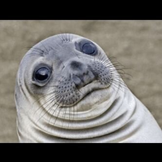 enderswift15's profile picture. hi