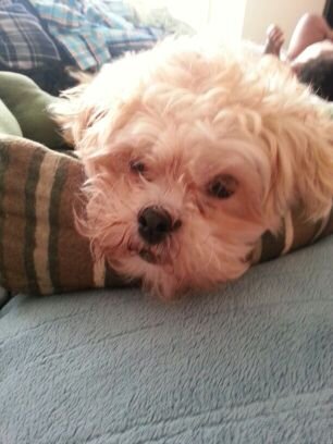 agniva's profile picture. Scientist at Emory University