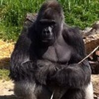 Senpai n mash (@dranny78) 's Twitter Profile Photo