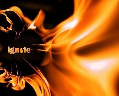 Igniteddd's profile picture. Your jets will never be planes