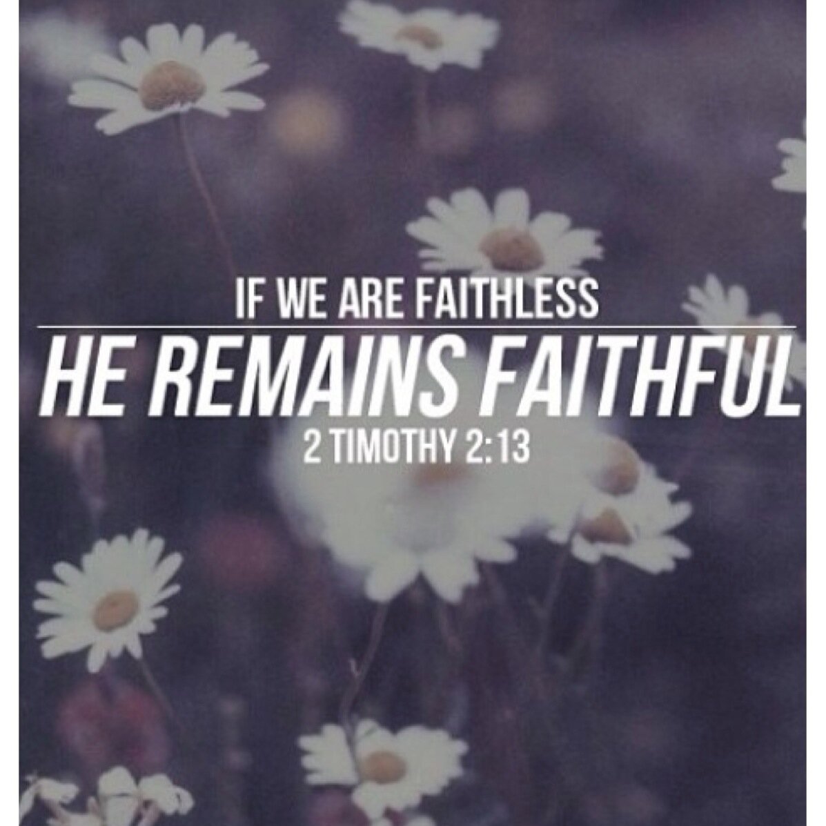 'I have come that they may have life and have it to the full.' - JOHN 10:10