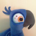 gavin kelley - @gavinkelley1234 - Twitter