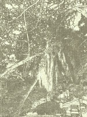 LuisAlarconlui's profile picture. Luis Fernando. Docente, Artista plástico.